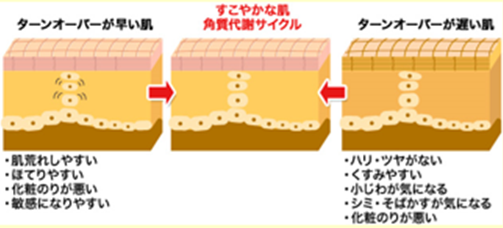 ターンオーバー